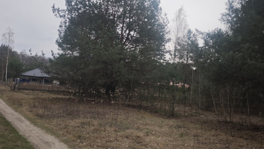 Działka Sprzedaż Wólka Kryształowa